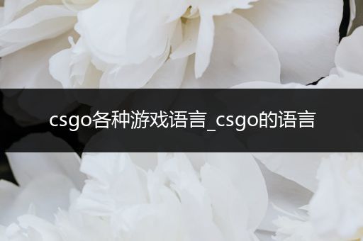 csgo各种游戏语言_csgo的语言