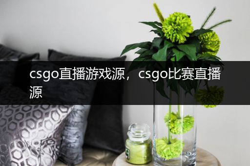 csgo直播游戏源，csgo比赛直播源