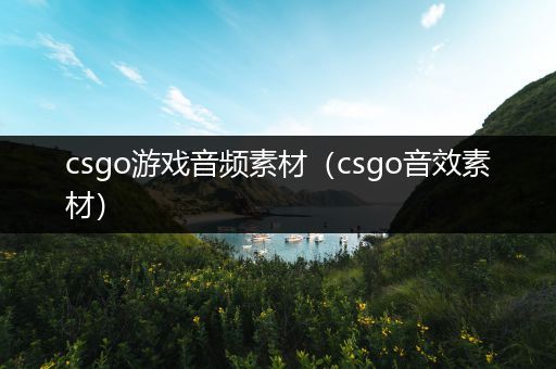 csgo游戏音频素材（csgo音效素材）