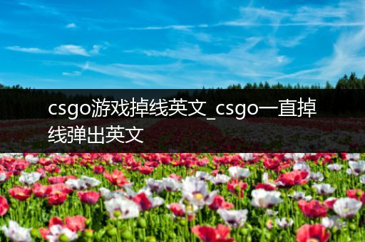 csgo游戏掉线英文_csgo一直掉线弹出英文