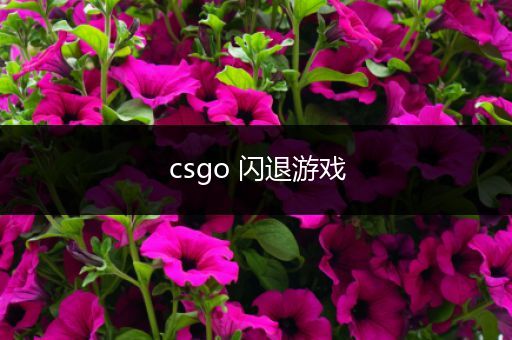 csgo 闪退游戏