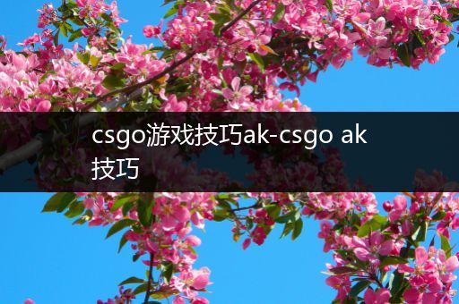 csgo游戏技巧ak-csgo ak技巧