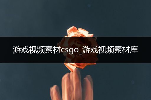 游戏视频素材csgo_游戏视频素材库