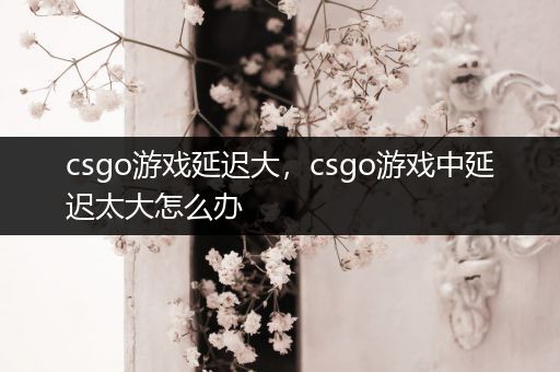 csgo游戏延迟大，csgo游戏中延迟太大怎么办