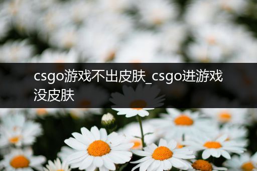 csgo游戏不出皮肤_csgo进游戏没皮肤