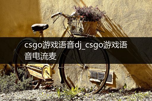 csgo游戏语音dj_csgo游戏语音电流麦