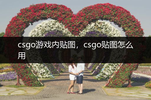 csgo游戏内贴图，csgo贴图怎么用