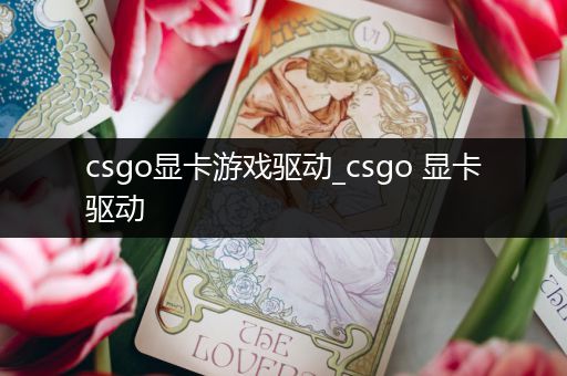 csgo显卡游戏驱动_csgo 显卡驱动