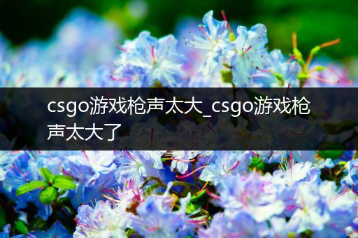 csgo游戏枪声太大_csgo游戏枪声太大了