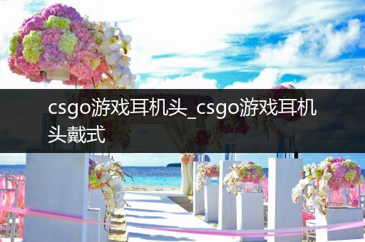 csgo游戏耳机头_csgo游戏耳机头戴式