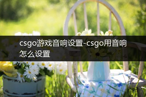 csgo游戏音响设置-csgo用音响怎么设置