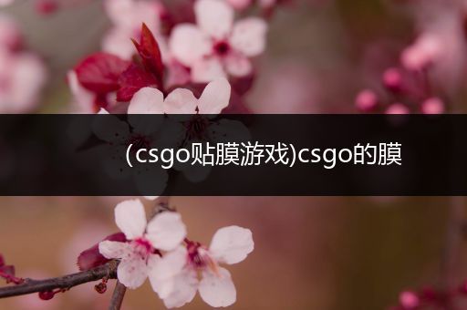 （csgo贴膜游戏)csgo的膜