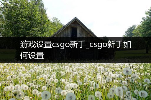 游戏设置csgo新手_csgo新手如何设置