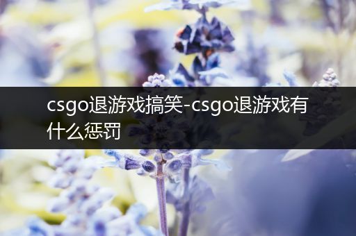 csgo退游戏搞笑-csgo退游戏有什么惩罚