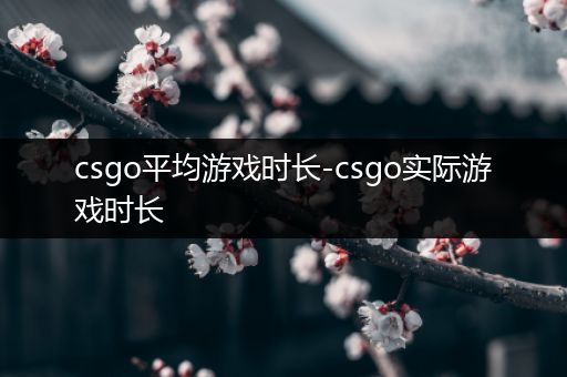 csgo平均游戏时长-csgo实际游戏时长