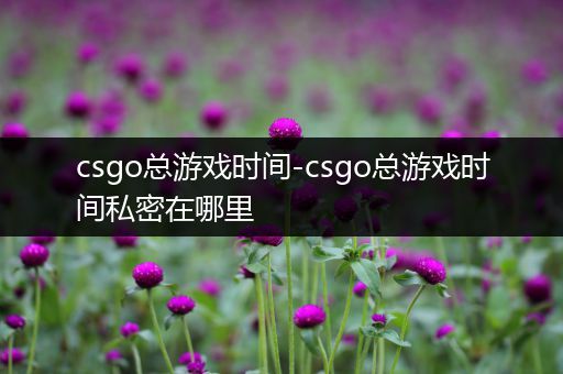 csgo总游戏时间-csgo总游戏时间私密在哪里