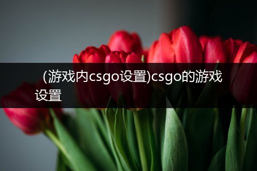 （游戏内csgo设置)csgo的游戏设置