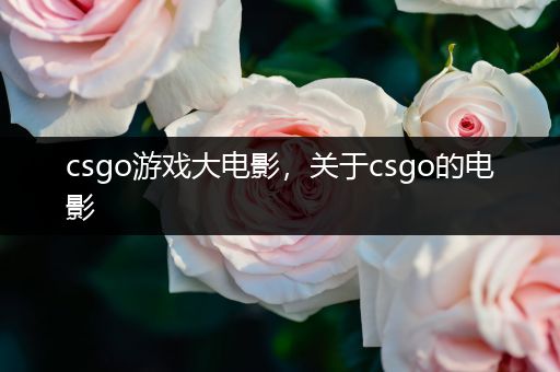 csgo游戏大电影，关于csgo的电影