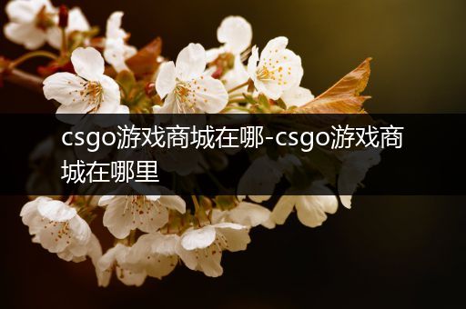 csgo游戏商城在哪-csgo游戏商城在哪里