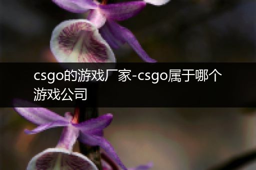 csgo的游戏厂家-csgo属于哪个游戏公司