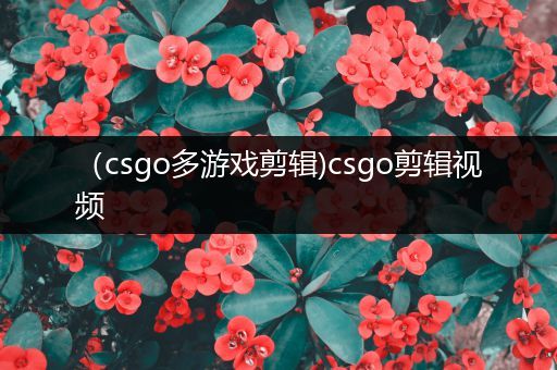 （csgo多游戏剪辑)csgo剪辑视频