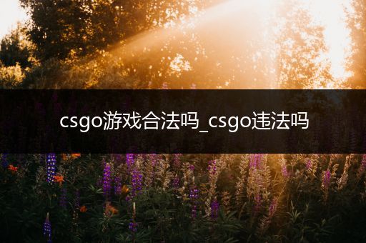 csgo游戏合法吗_csgo违法吗