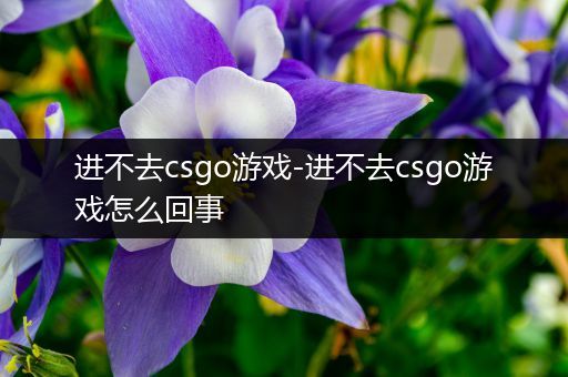 进不去csgo游戏-进不去csgo游戏怎么回事