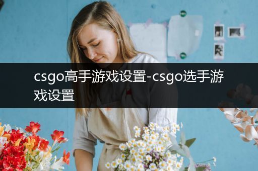 csgo高手游戏设置-csgo选手游戏设置