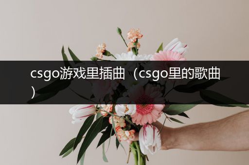 csgo游戏里插曲（csgo里的歌曲）