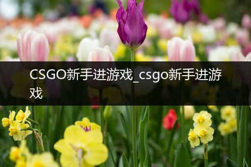 CSGO新手进游戏_csgo新手进游戏