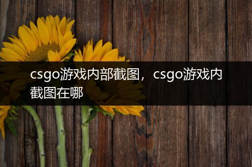 csgo游戏内部截图，csgo游戏内截图在哪