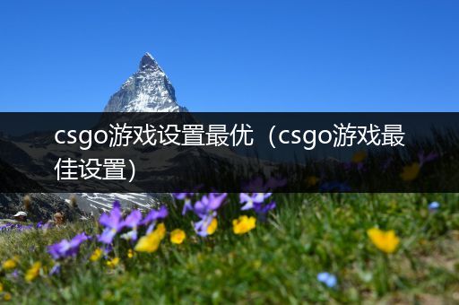 csgo游戏设置最优（csgo游戏最佳设置）