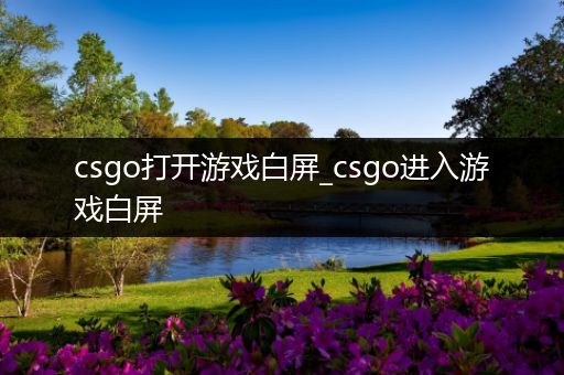 csgo打开游戏白屏_csgo进入游戏白屏