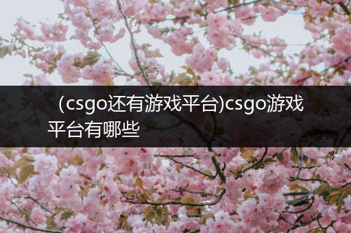 （csgo还有游戏平台)csgo游戏平台有哪些