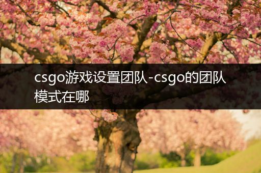 csgo游戏设置团队-csgo的团队模式在哪