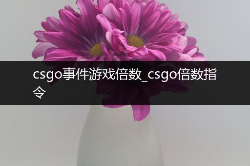 csgo事件游戏倍数_csgo倍数指令