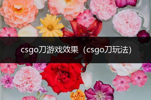 csgo刀游戏效果（csgo刀玩法）