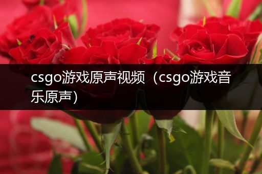 csgo游戏原声视频（csgo游戏音乐原声）