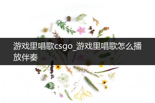 游戏里唱歌csgo_游戏里唱歌怎么播放伴奏