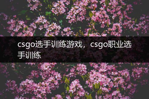 csgo选手训练游戏，csgo职业选手训练