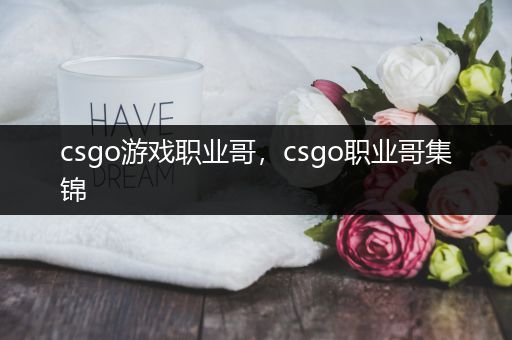 csgo游戏职业哥，csgo职业哥集锦