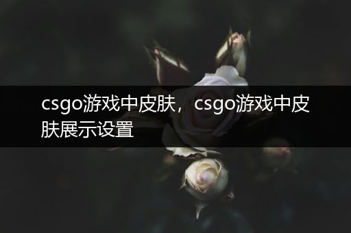 csgo游戏中皮肤，csgo游戏中皮肤展示设置