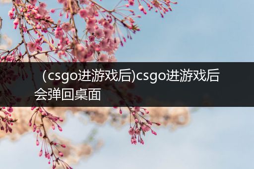 （csgo进游戏后)csgo进游戏后会弹回桌面