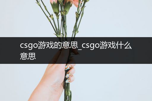 csgo游戏的意思_csgo游戏什么意思