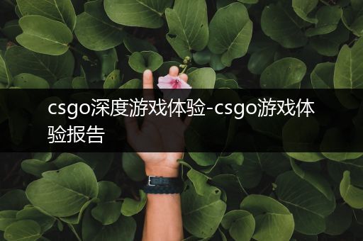 csgo深度游戏体验-csgo游戏体验报告