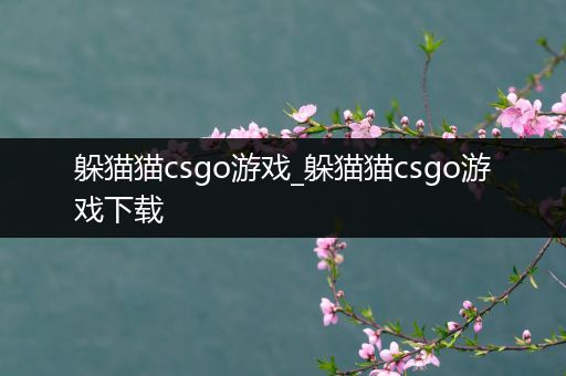 躲猫猫csgo游戏_躲猫猫csgo游戏下载