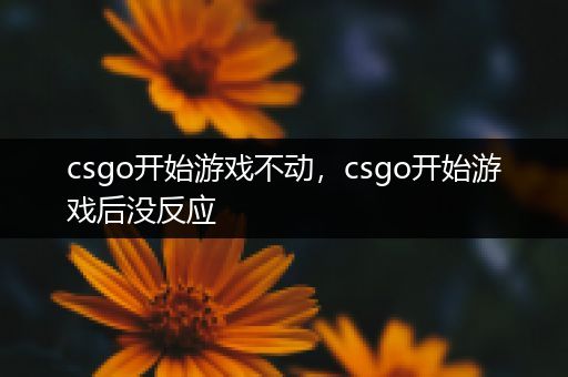 csgo开始游戏不动，csgo开始游戏后没反应