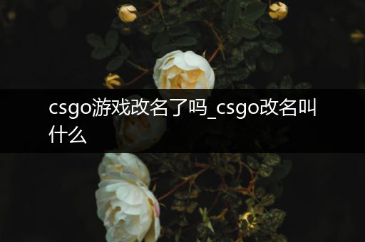 csgo游戏改名了吗_csgo改名叫什么