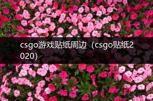 csgo游戏贴纸周边（csgo贴纸2020）