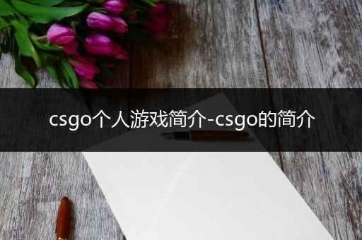 csgo个人游戏简介-csgo的简介